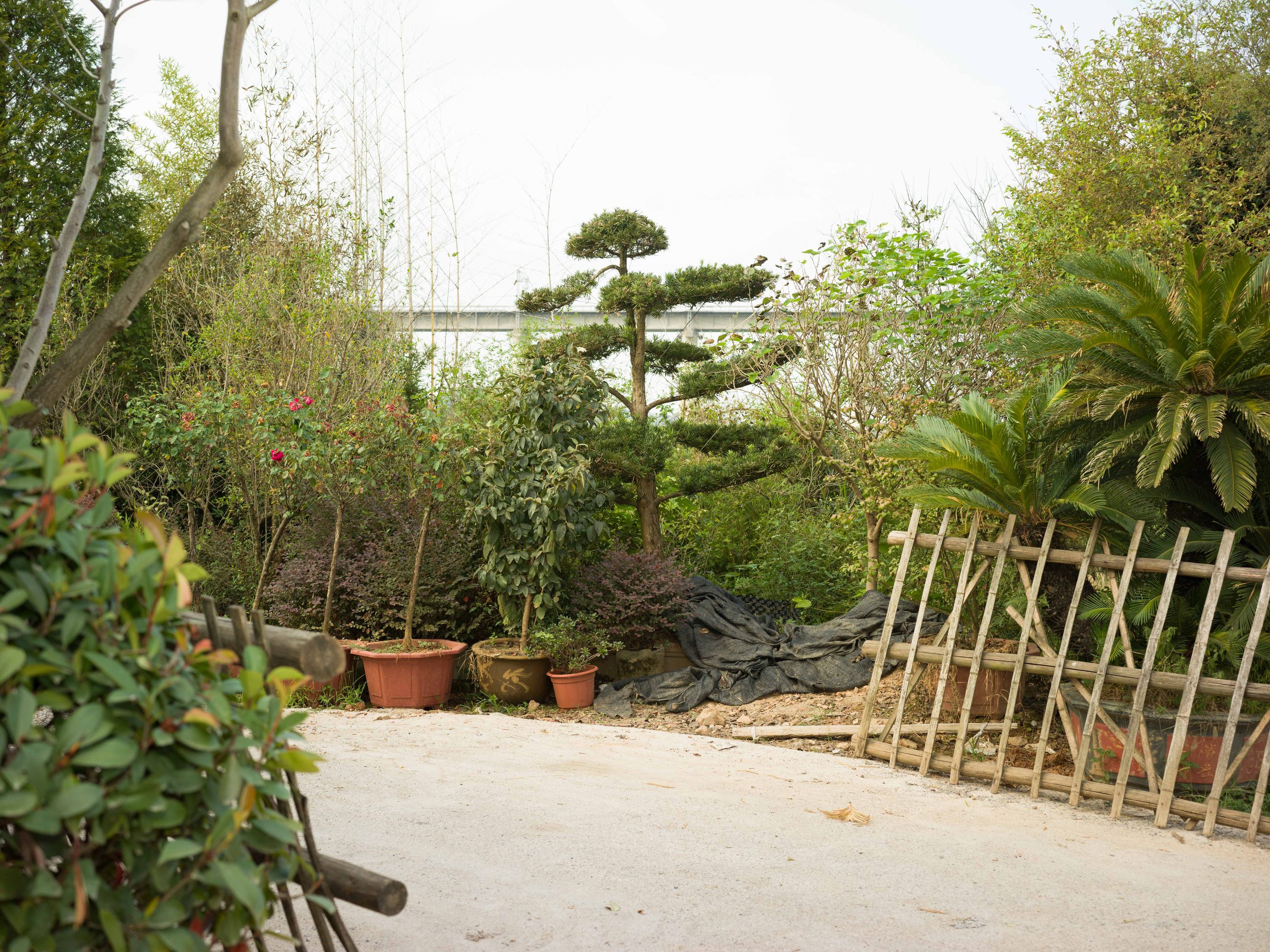 Photograph 18 by Yizhou Wang