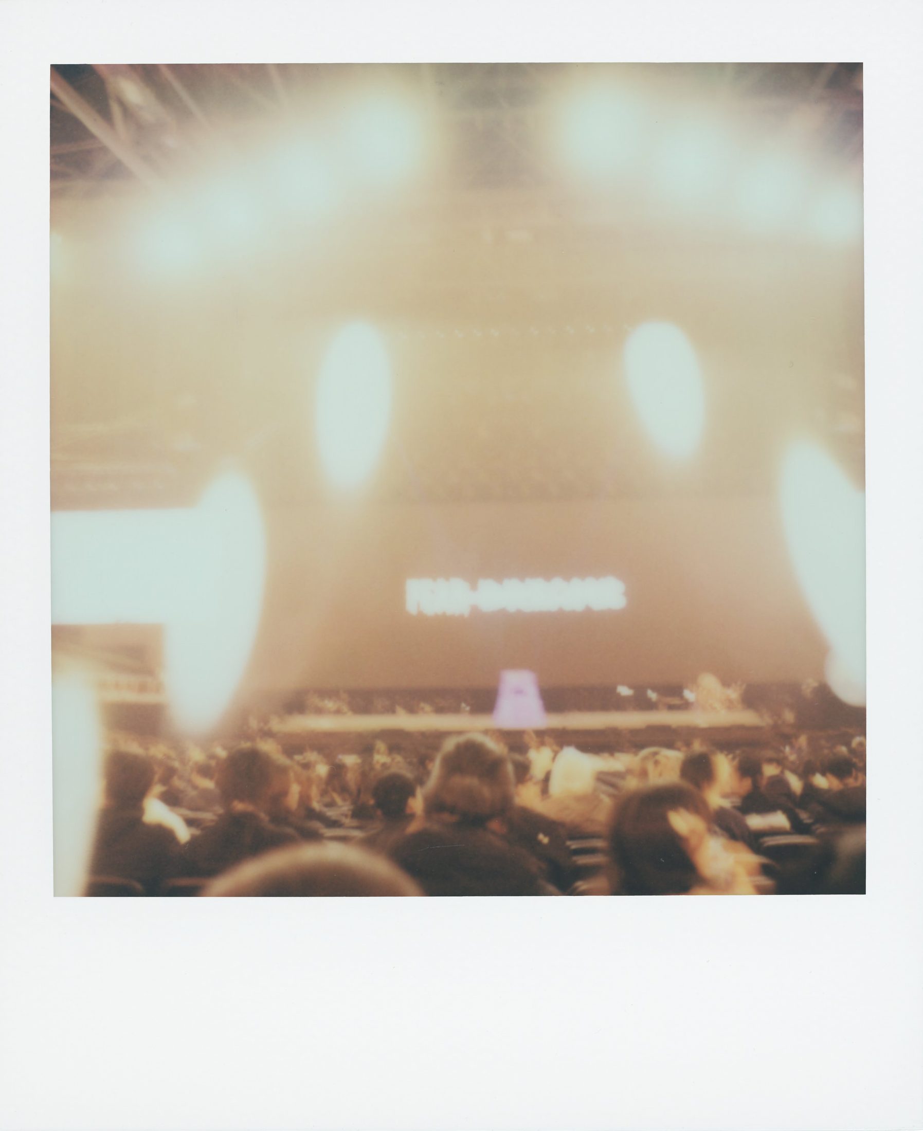 Polaroid photograph 17