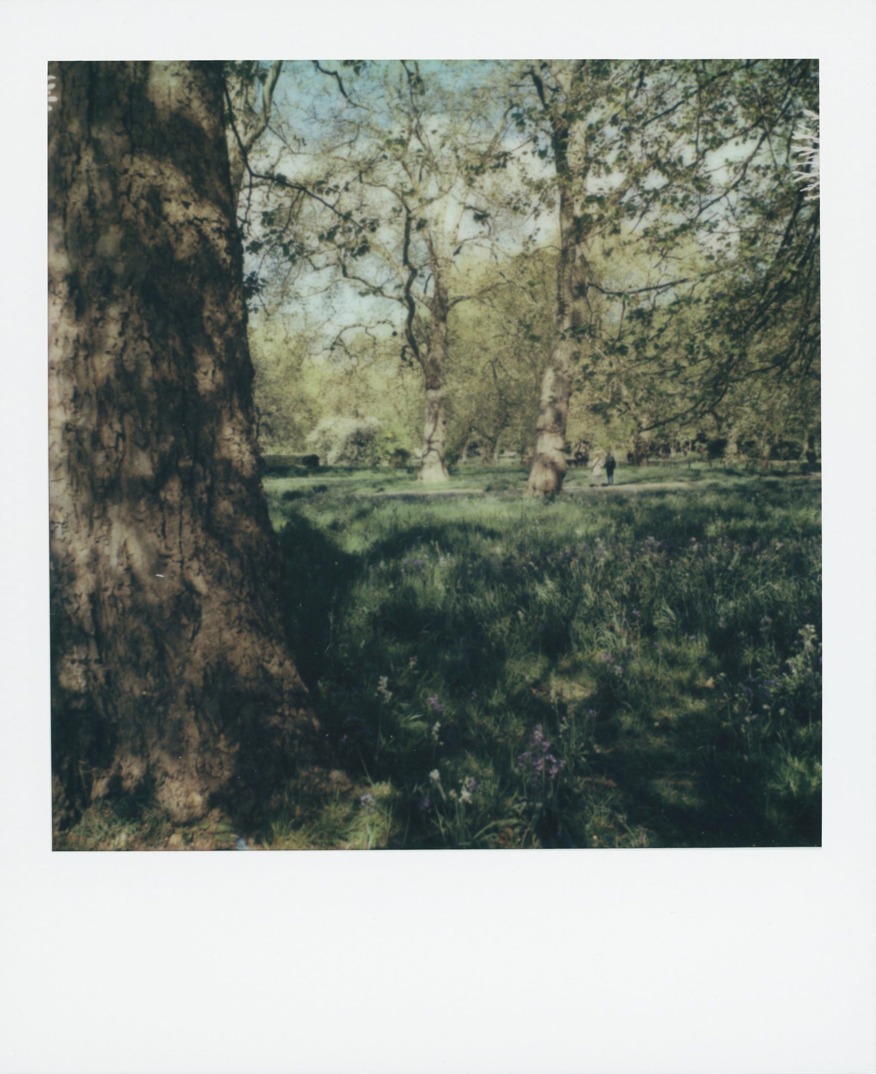 Polaroid photograph 22