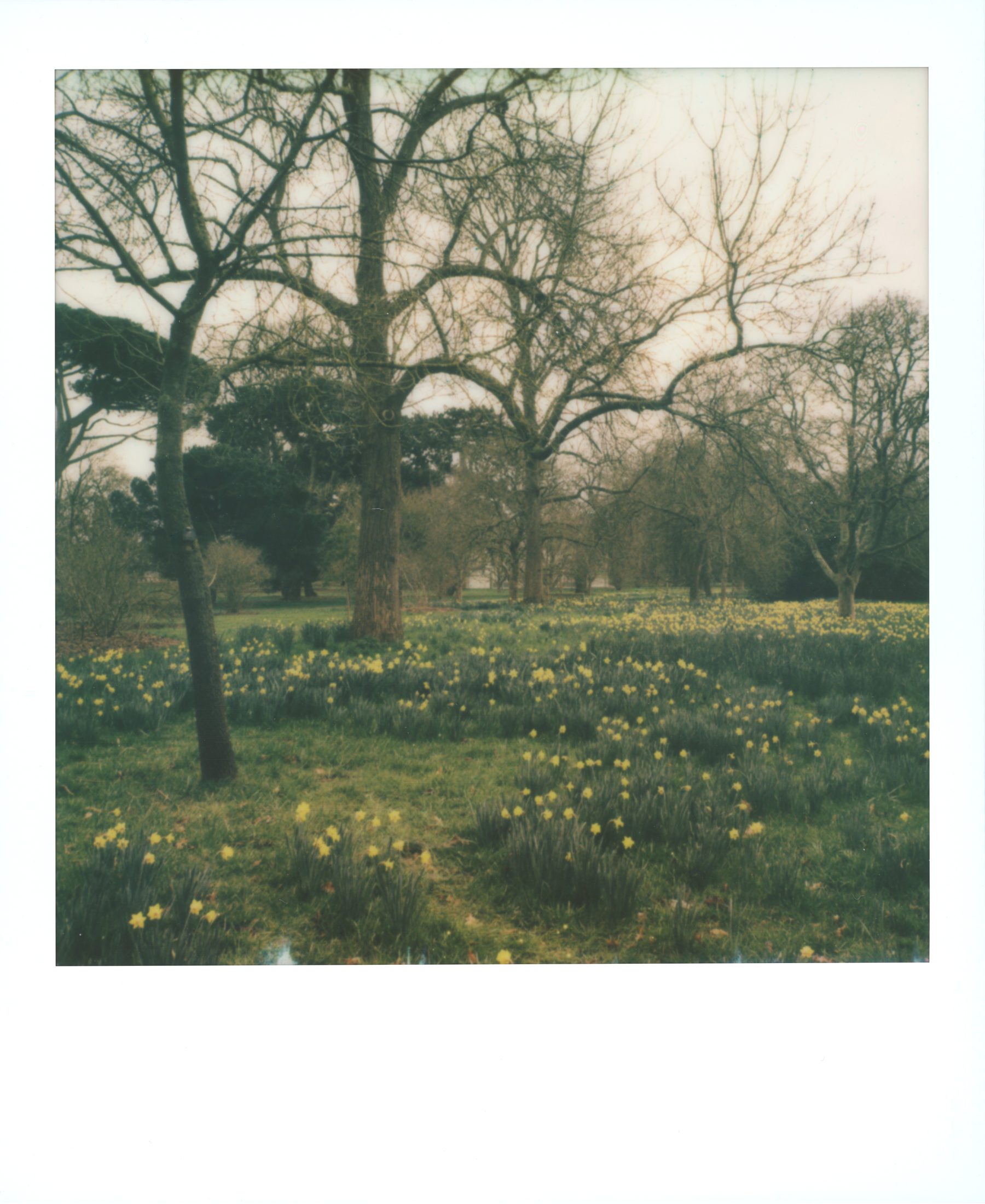 Polaroid photograph 27