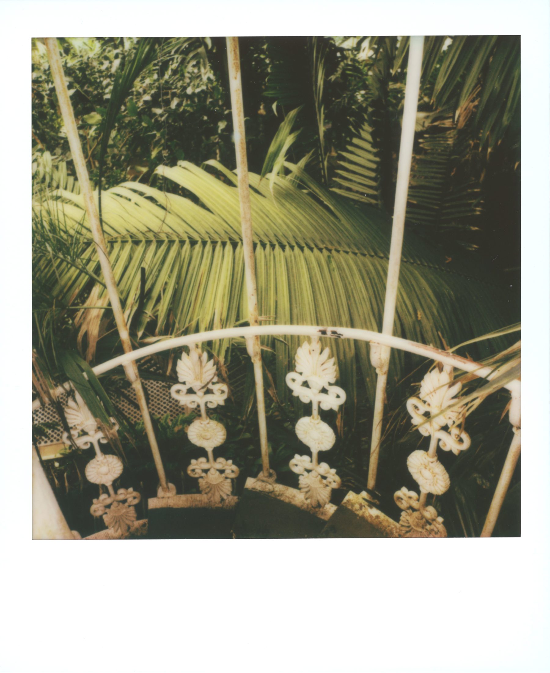 Polaroid photograph 33