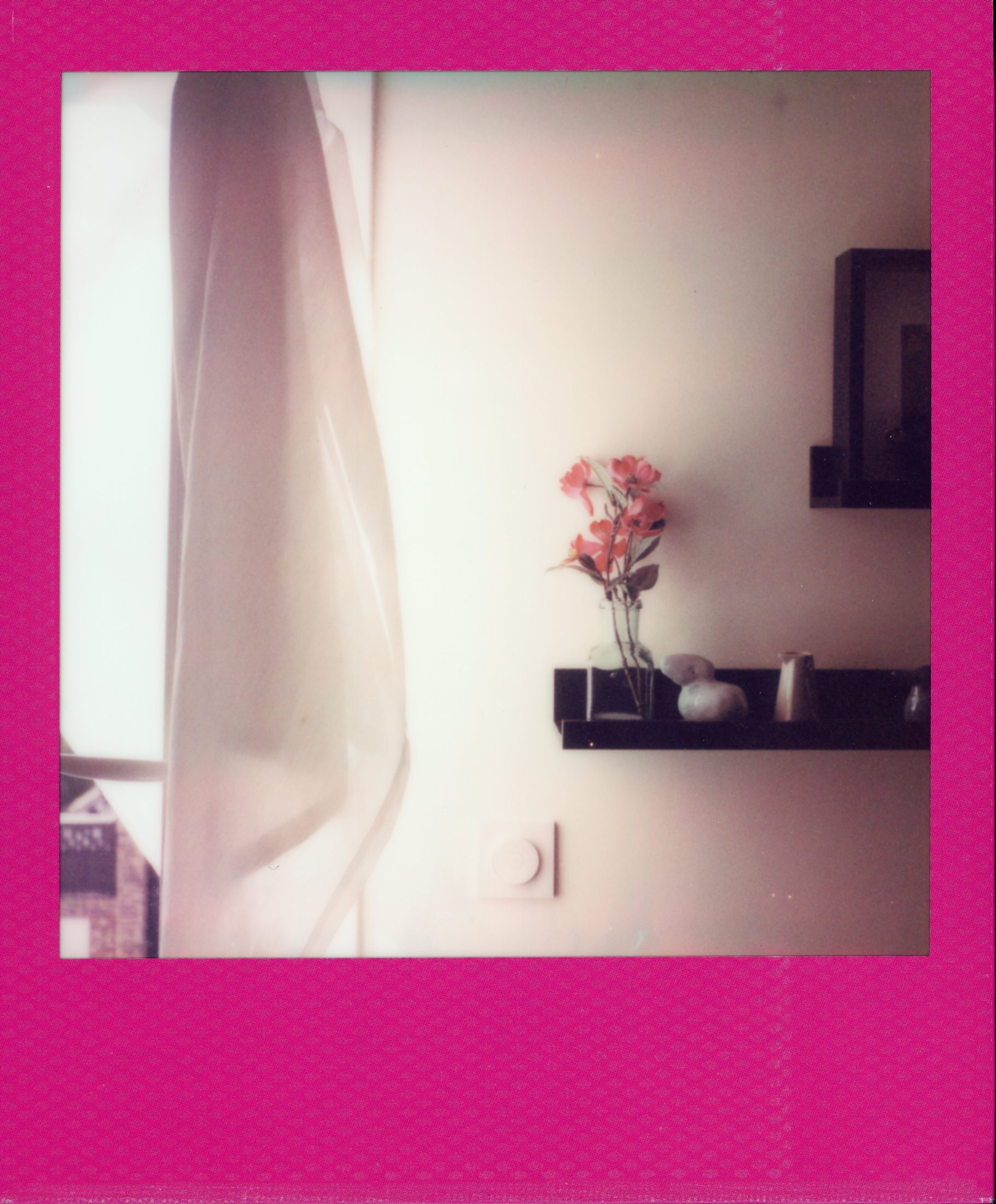 Polaroid photograph 48