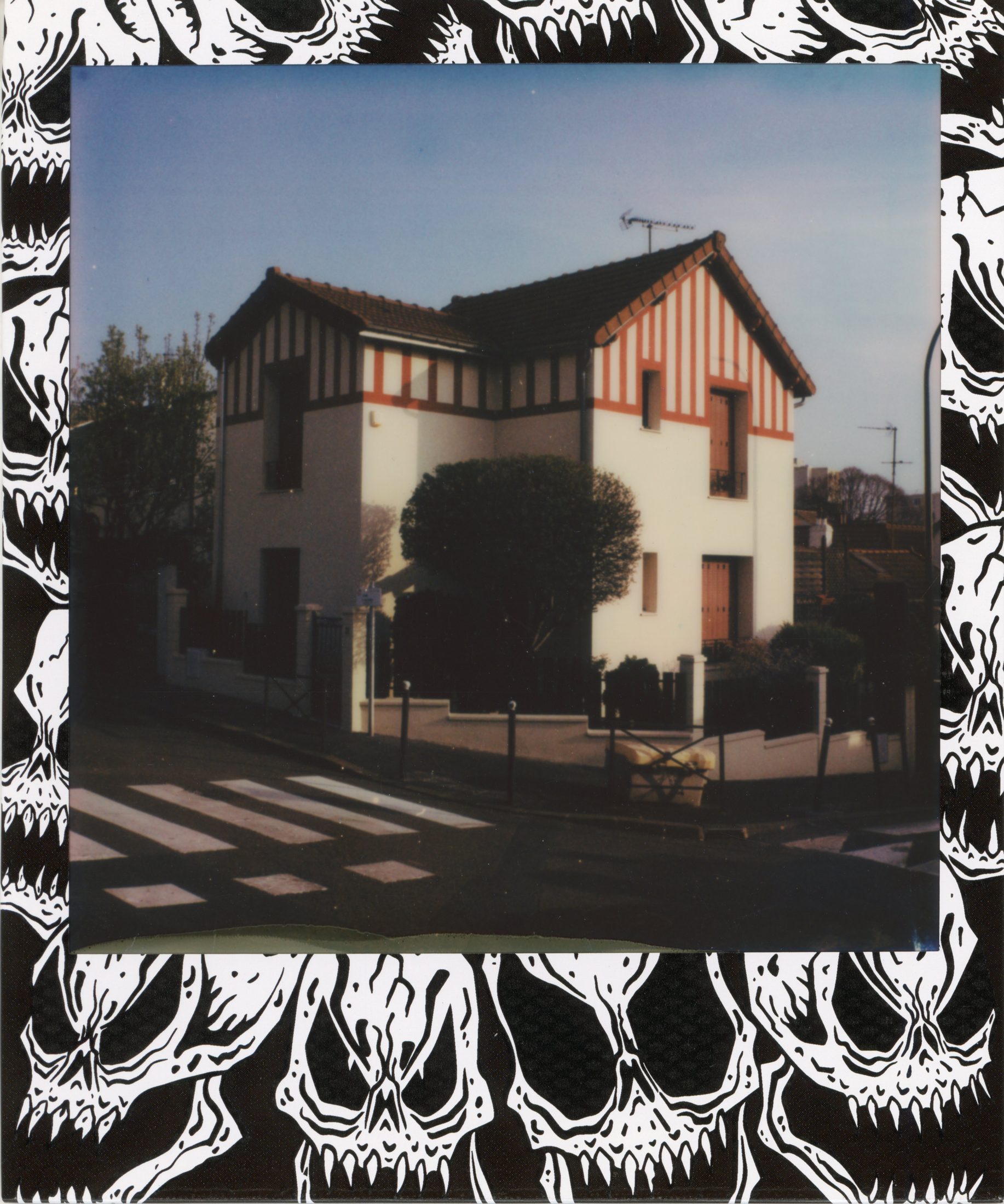 Polaroid photograph 62