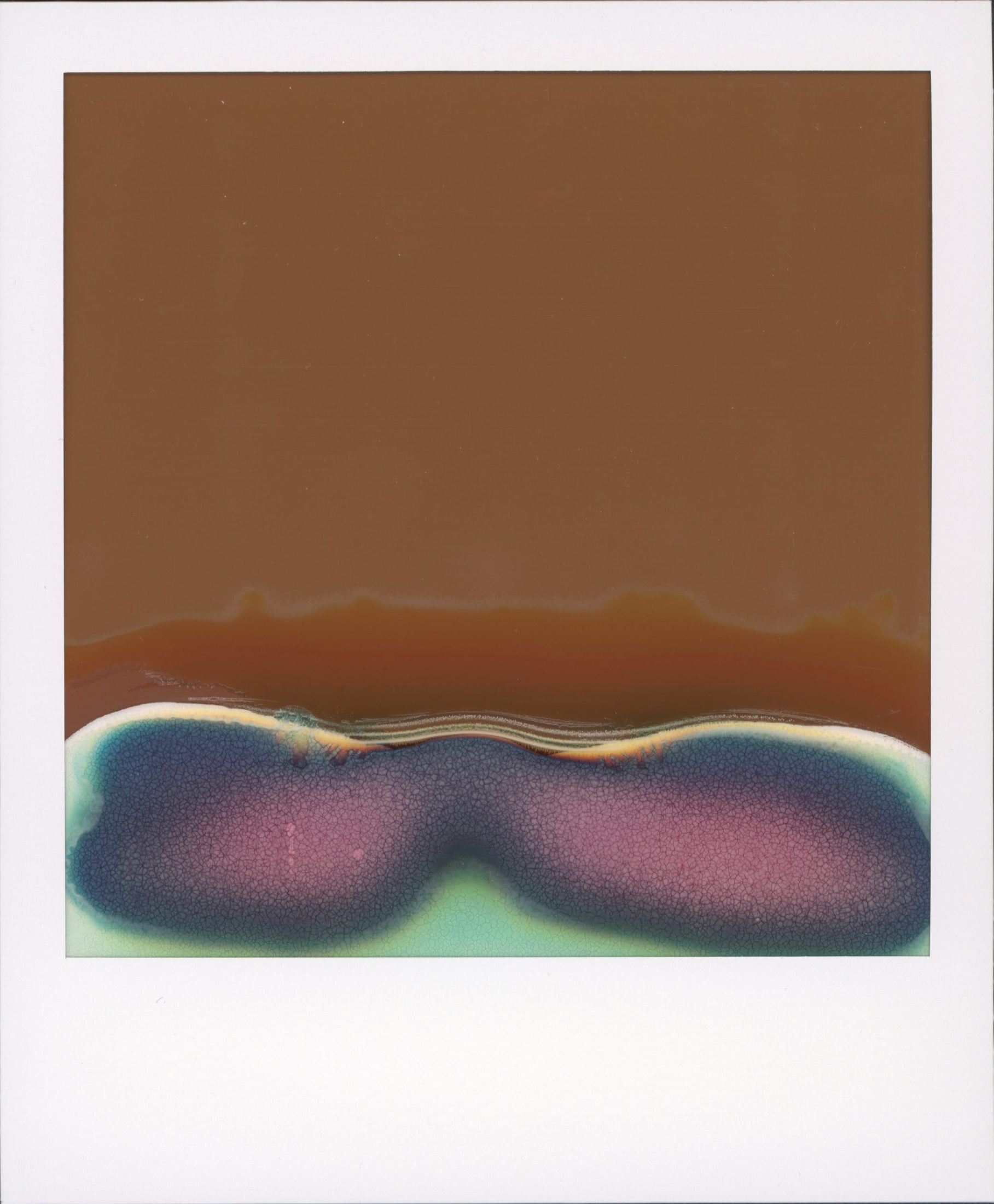 Polaroid photograph 72
