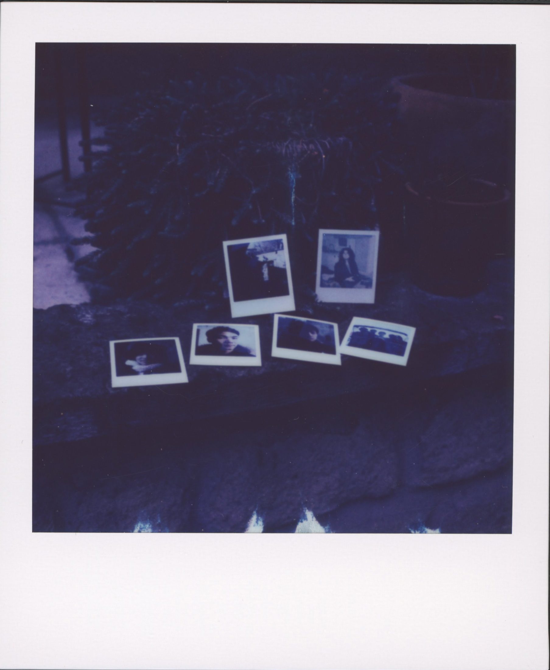 Polaroid photograph 84