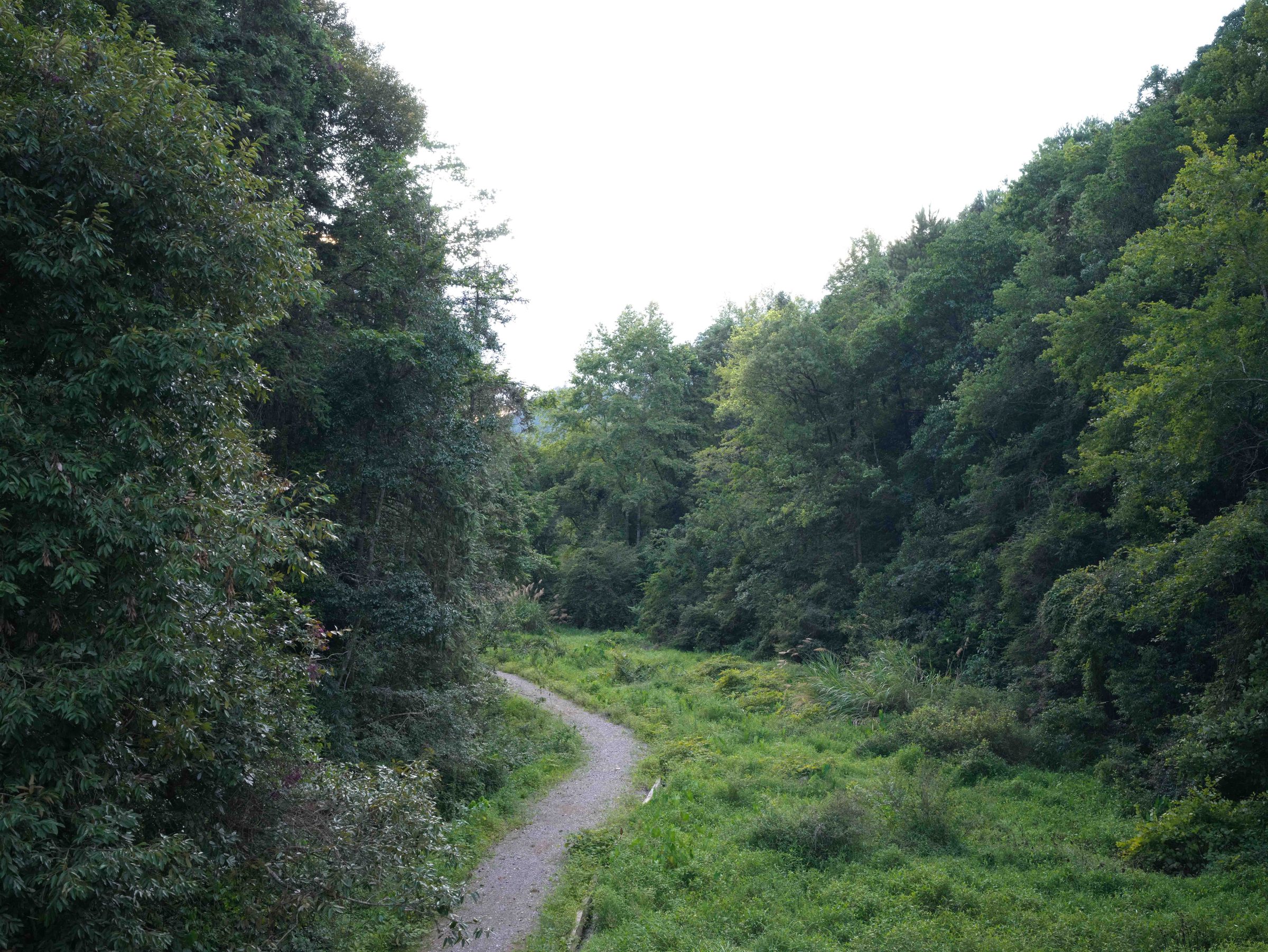 After Order, photograph 44