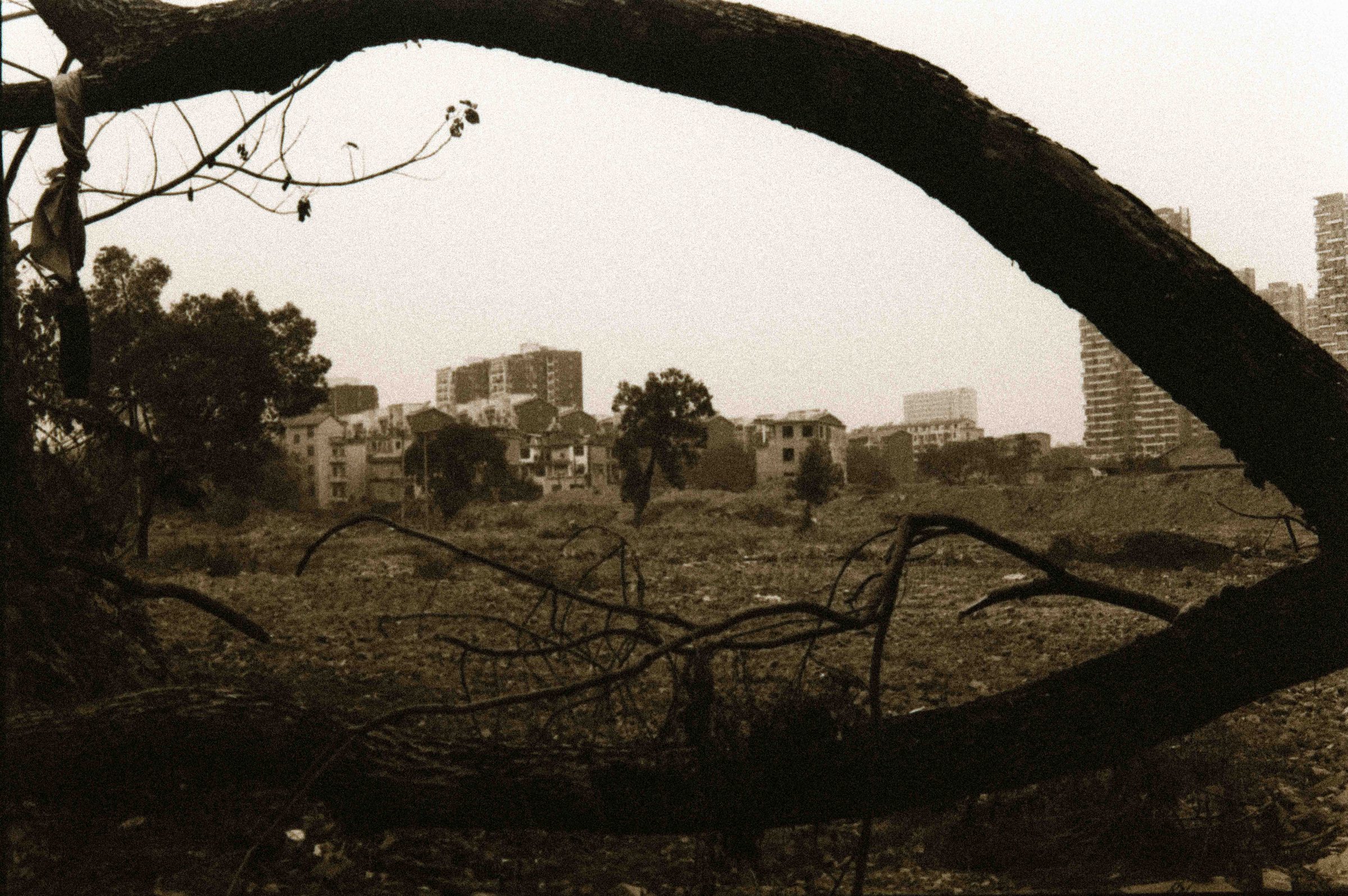 After Order, photograph 49