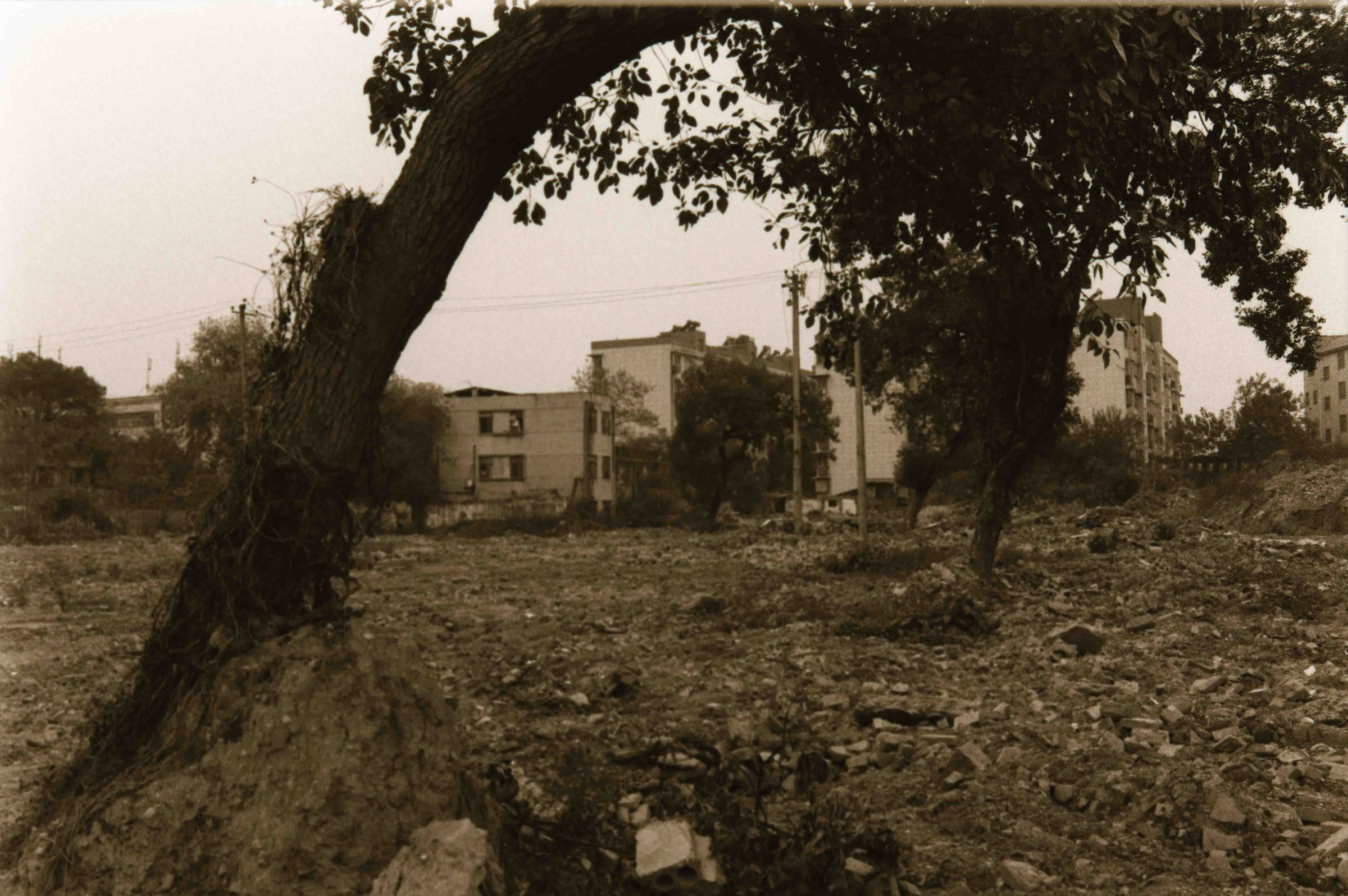 After Order, photograph 50