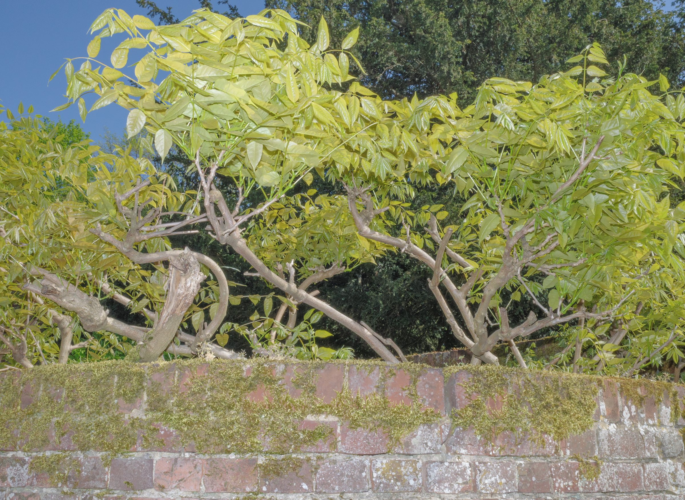 In Each Other’s Image, photograph 12