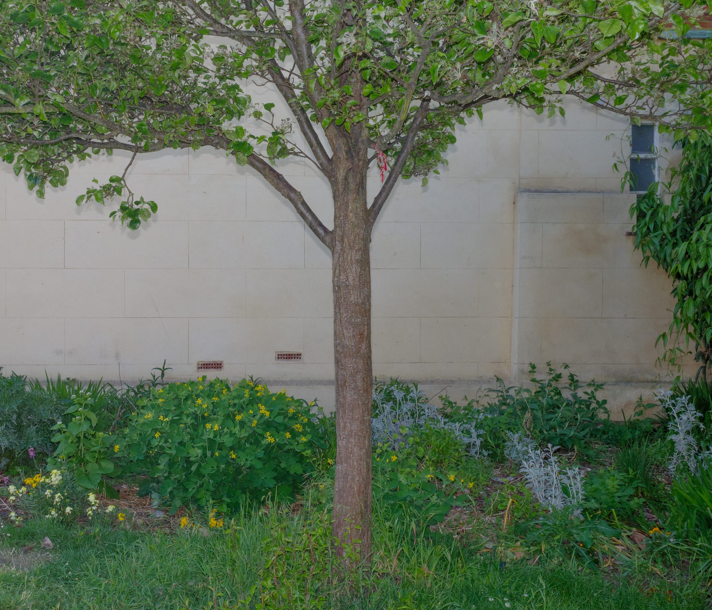 In Each Other’s Image, photograph 13