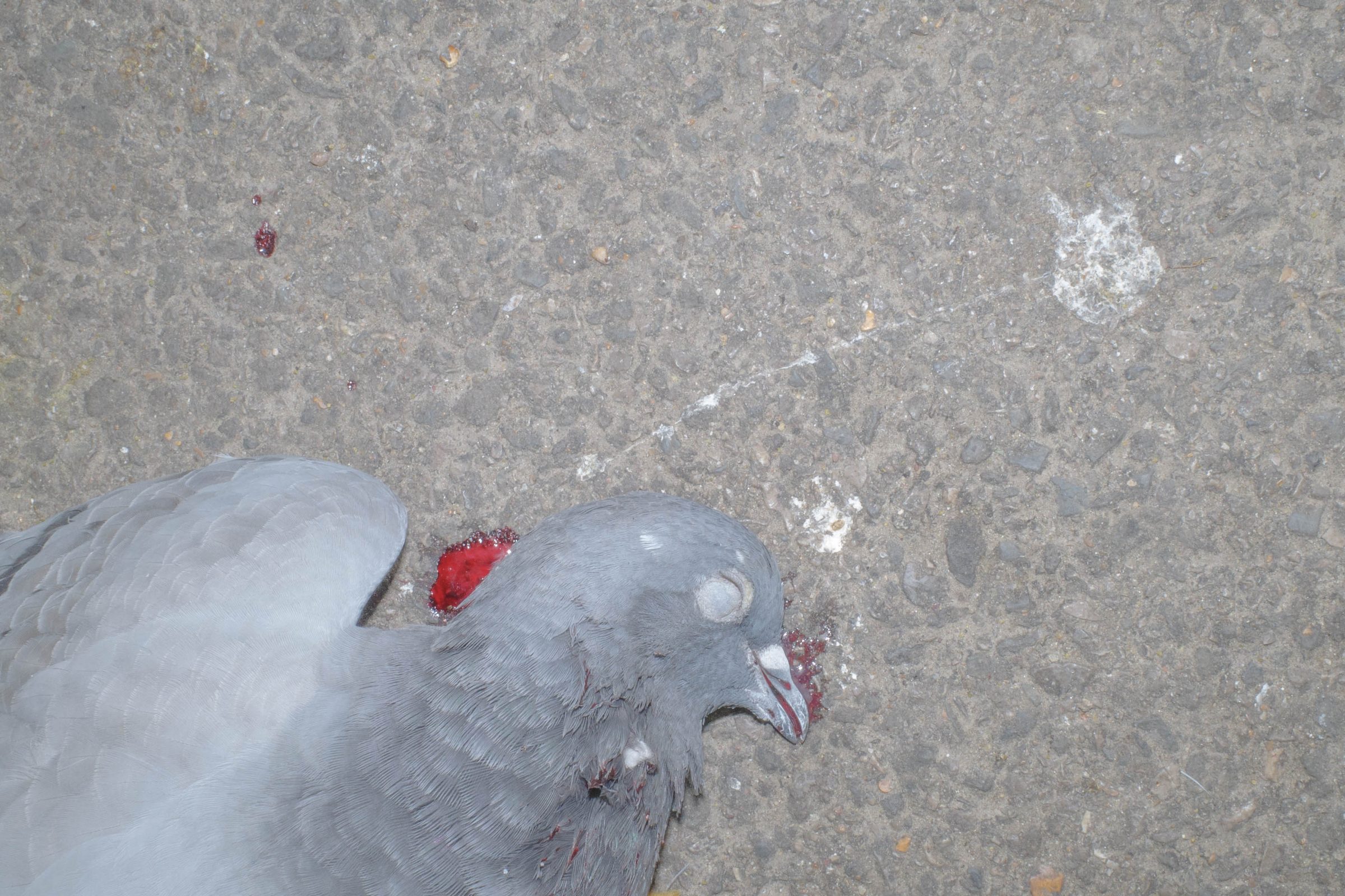 In Each Other’s Image, photograph 35