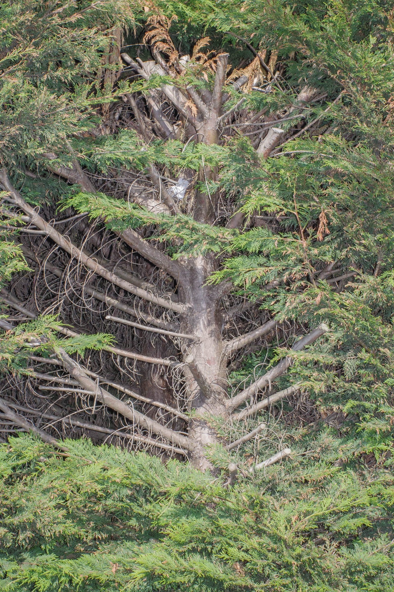 In Each Other’s Image, photograph 56
