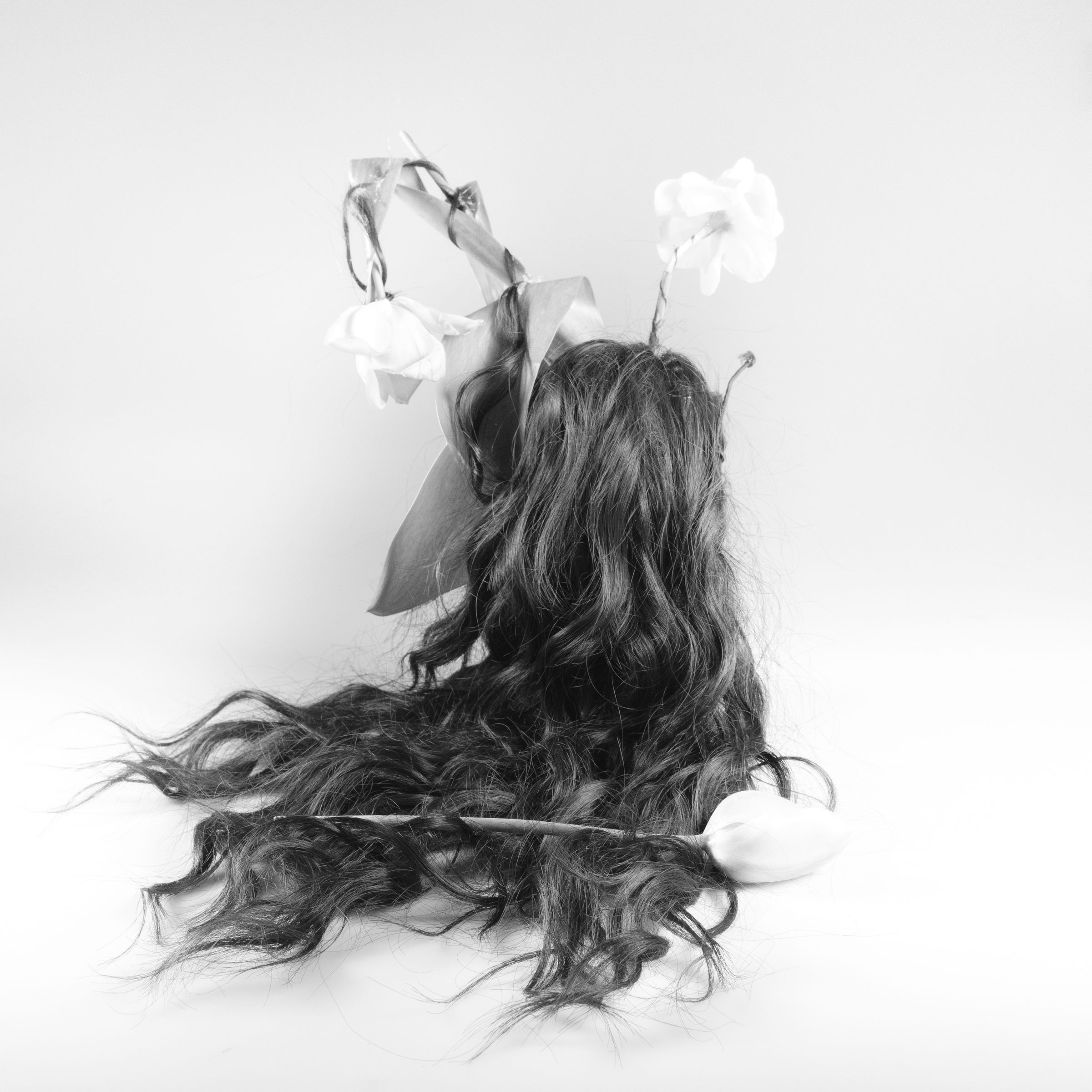 Uncut — Grow in Silence, photograph 26